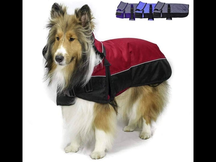 derby-originals-ruff-pup-1200d-medium-weight-winter-dog-coat-with-neck-cover-220g-and-harness-compat-1