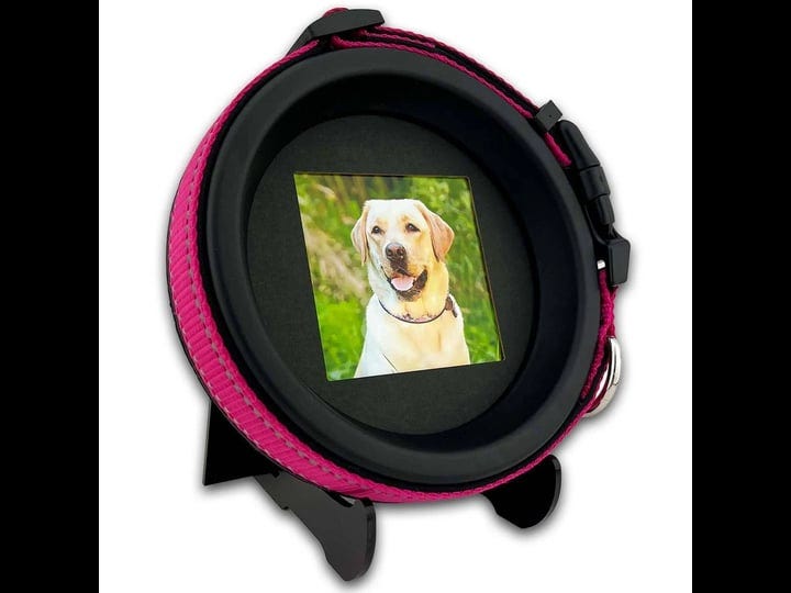 whisker-fang-halo-pet-photo-and-collar-display-dog-collar-memorial-frame-gift-pet-memorials-gift-for-1