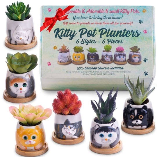 5-piece-cute-cat-kitty-planter-mini-ceramic-succulent-pots-cat-themed-gift-1