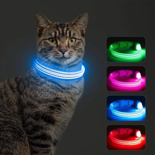 dolitego-light-up-dog-collars-reflective-led-dog-collar-rechargeable-puppy-collar-lighted-cat-collar-1