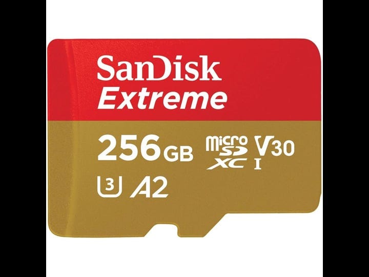 sandisk-extreme-256-gb-uhs-i-microsd-1