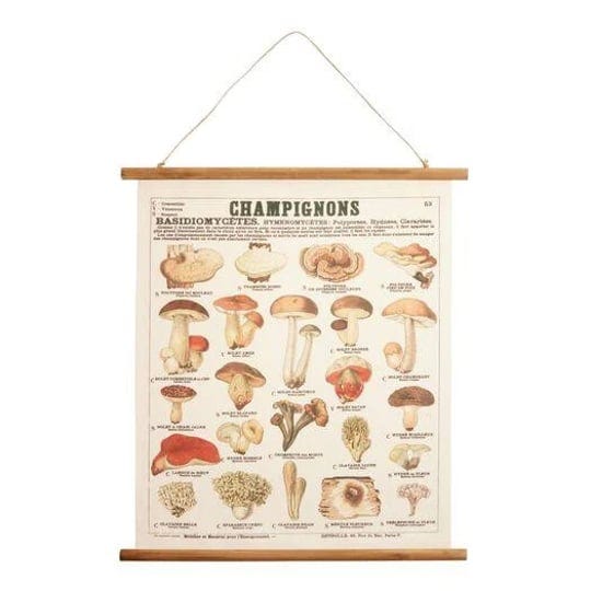 champignon-fabric-scroll-wall-hanging-by-world-market-1
