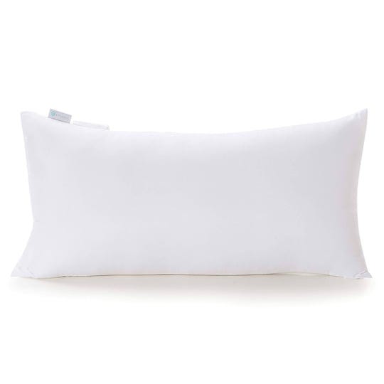 acanva-fluffy-pillow-insert-for-bed-sleeping-decorative-stuffer-cushion-sham-filler-12x24-inch-white-1