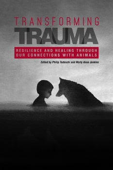 transforming-trauma-1169231-1