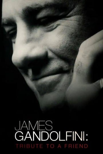 james-gandolfini-tribute-to-a-friend-761965-1