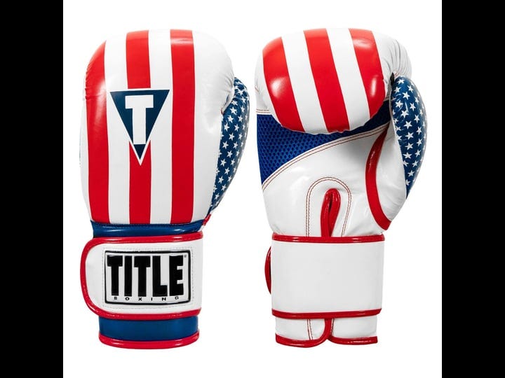 title-boxing-infused-foam-combat-usa-training-gloves-red-white-blue-l-1