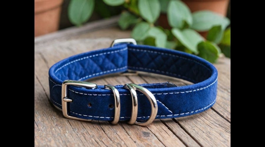 Blueberry-Dog-Collar-1