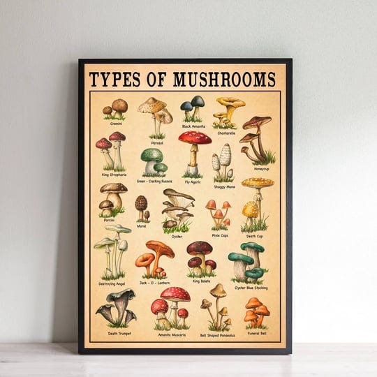 giftsrceu-types-of-mushroom-posters-retro-mushroom-posters-mushroom-artist-home-decoration-mushroom--1