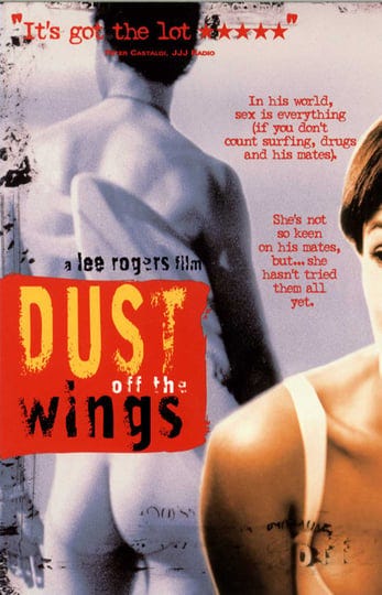 dust-off-the-wings-2394302-1