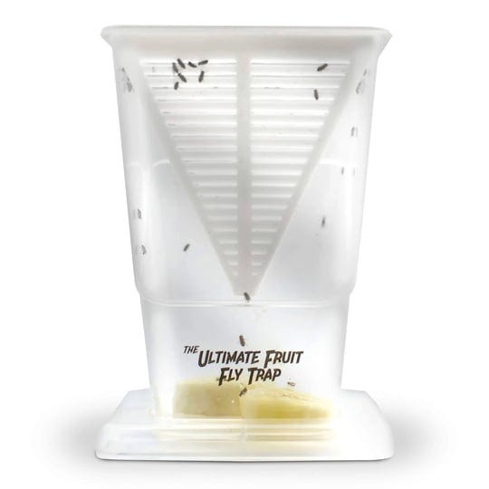 less-pests-ultimate-fruit-fly-trap-4-pack-1