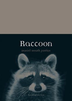 raccoon-1003878-1