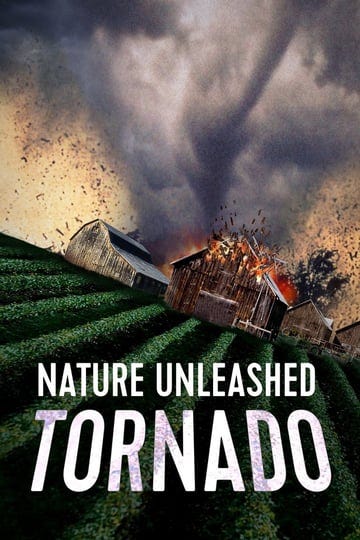 nature-unleashed-tornado-1593969-1