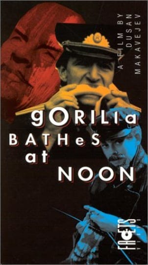 gorilla-bathes-at-noon-4949299-1