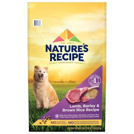 natures-recipe-adult-lamb-rice-recipe-dry-dog-food-24-lb-bag-1