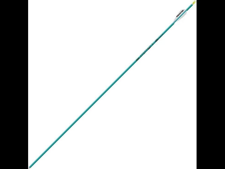 easton-genesis-arrows-teal-1820-6-pk-1