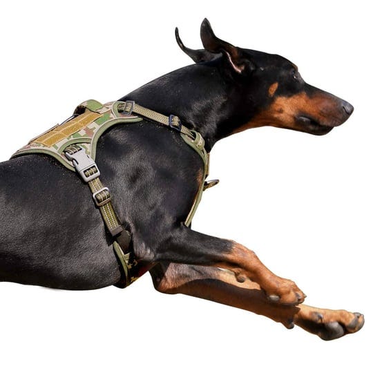 bumbin-tactical-dog-harness-for-large-dogs-no-pull-famous-tik-tok-no-pull-dog-harness-fit-smart-refl-1