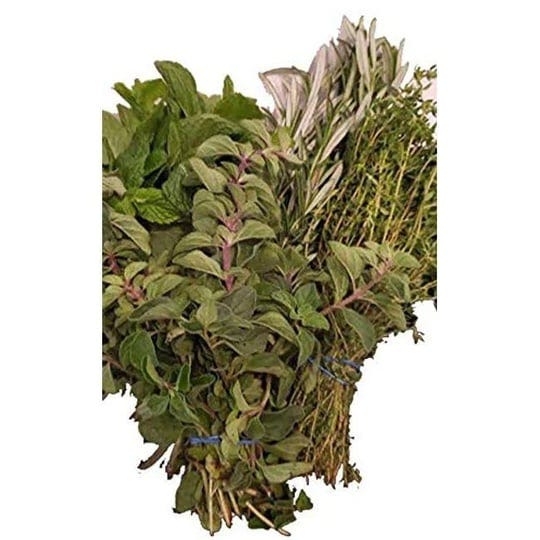 fresh-herbs-bundle-fresh-rosemary-thyme-oregano-and-fresh-mint-1