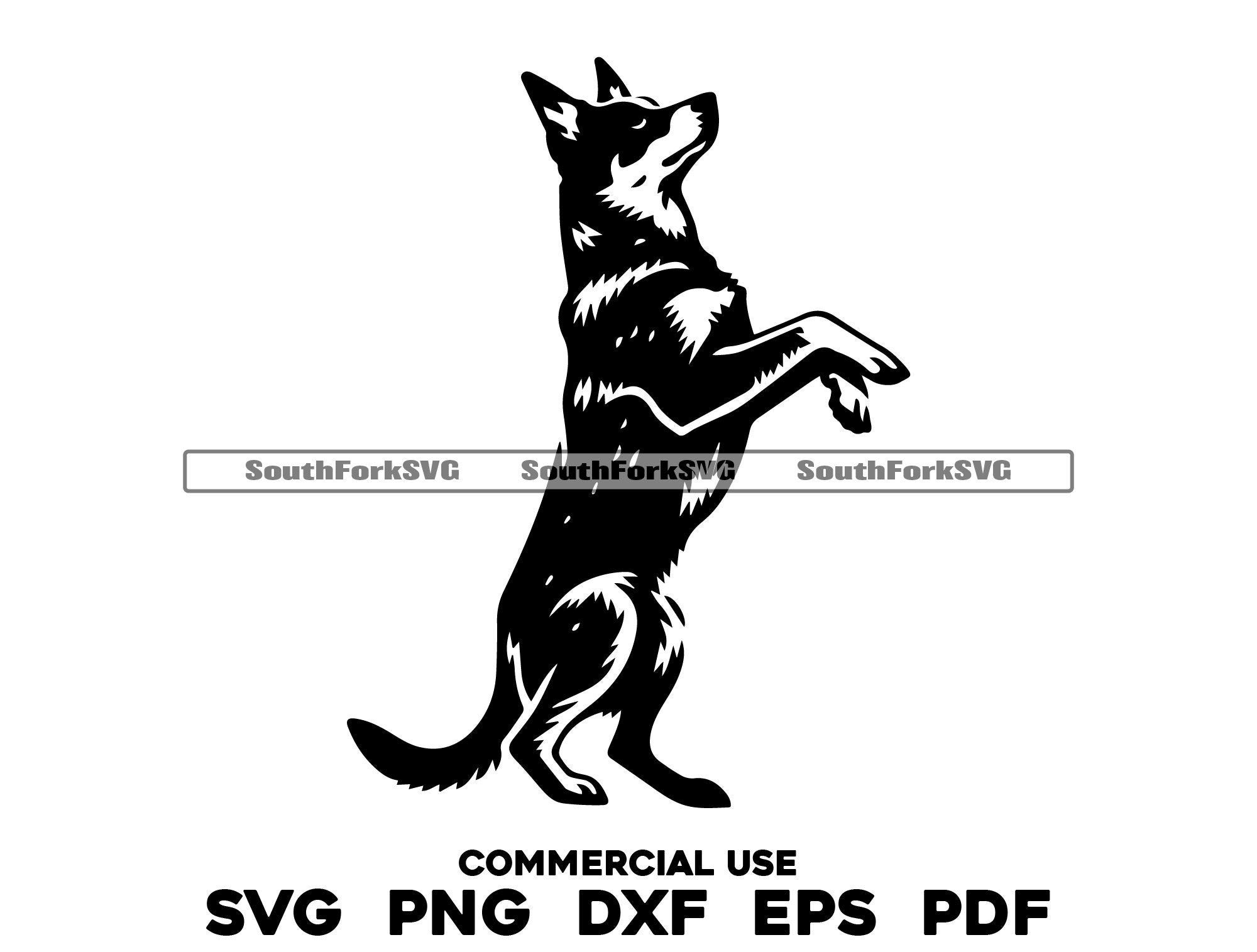Blue Heeler Begging Hind Legs svg png dxf eps pdf | vector graphic cut file laser clip art instant digital download commercial use