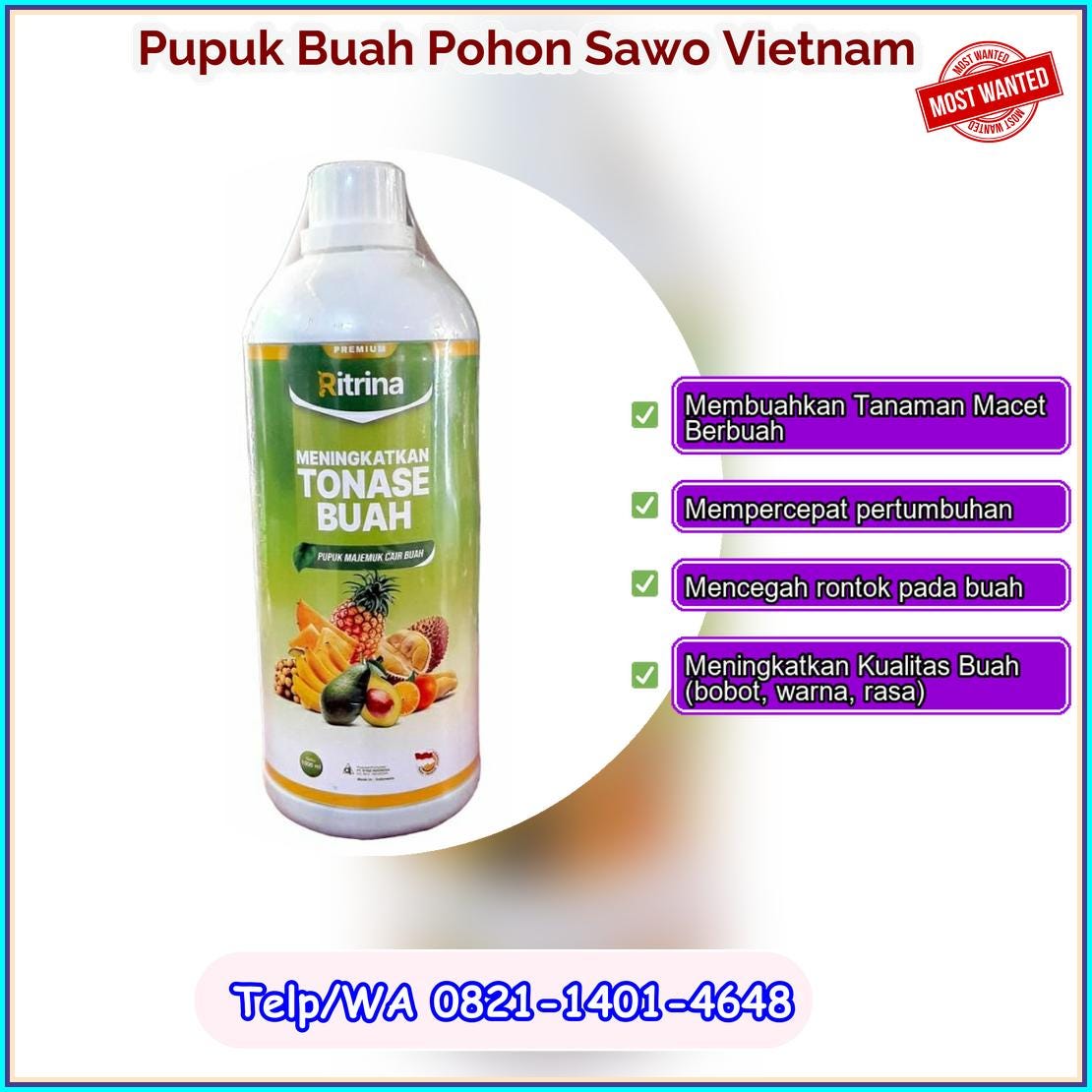 Grosir Pupuk Buah Pohon Sawo Vietnam Hasil Melimpah