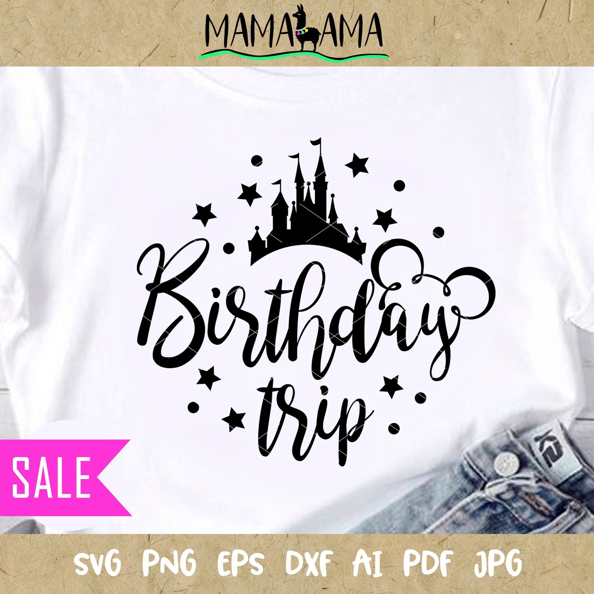 Birthday Trip shirt design Family Cruise to the magical kingdom Mouse ears svg file Princess castle Digital downloads