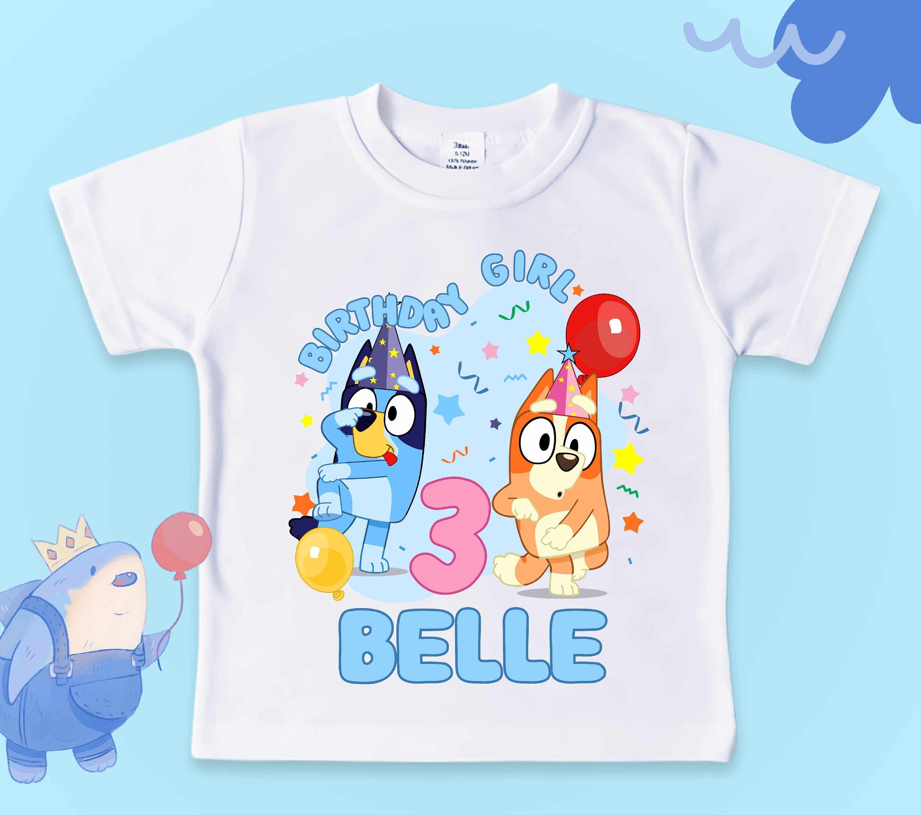 Custom Birthday T Shirt, Blue and Friends Birthday Shirt, Family Matching Shirt, Personalized Gift For Birthday, Unisex shirt, All Sizes