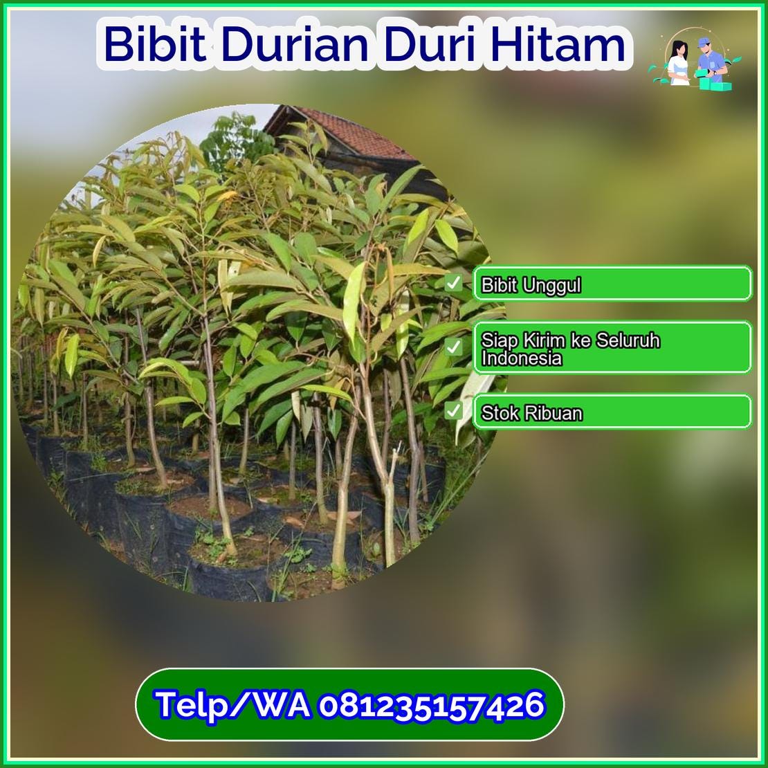 Pusat Pembibitan Bibit Durian Duri Hitam Banjarnegara