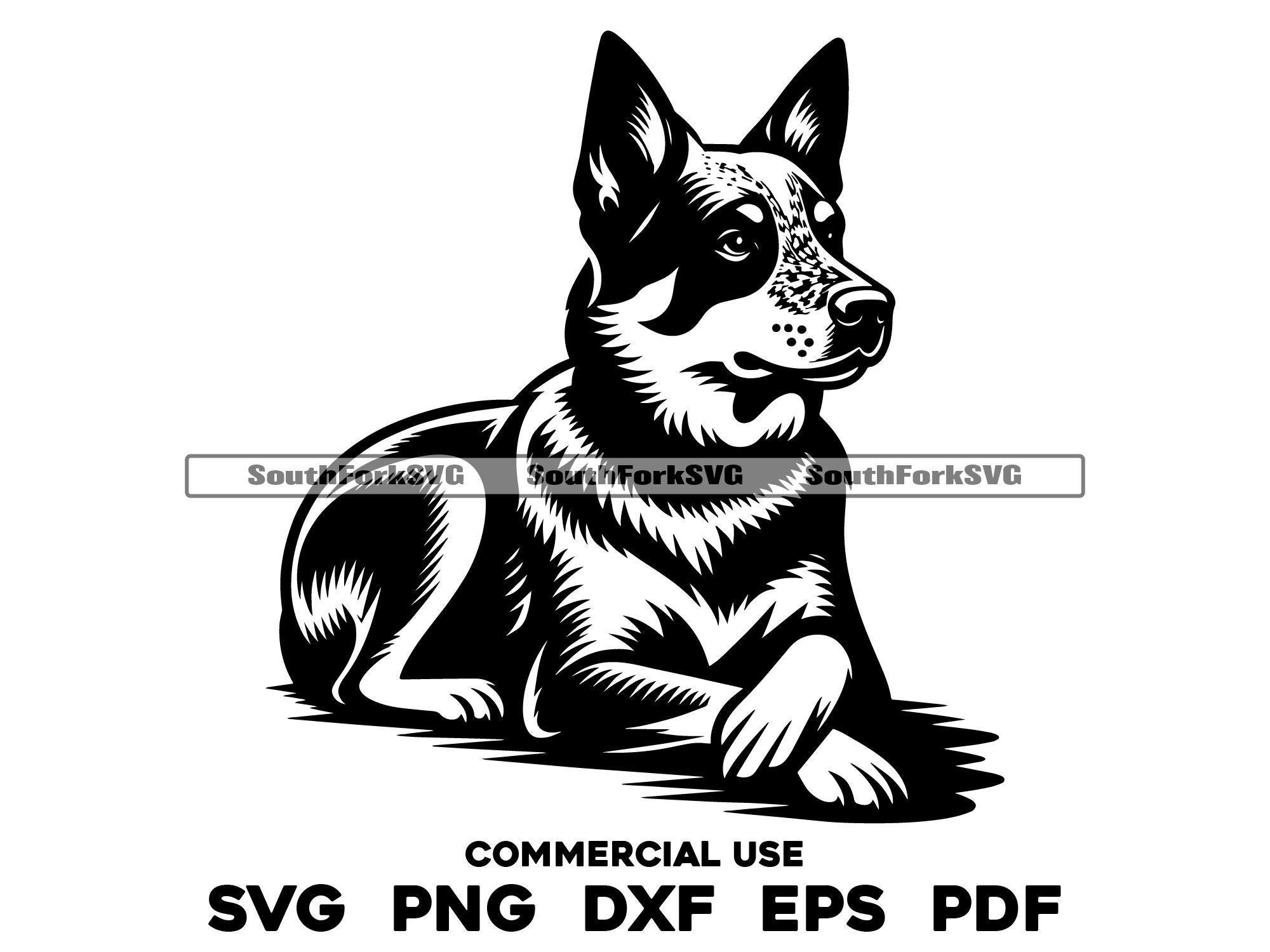 Blue Heeler Laying Crossed Paws Design svg png dxf eps pdf | vector graphic cut file laser clip art instant digital download commercial use