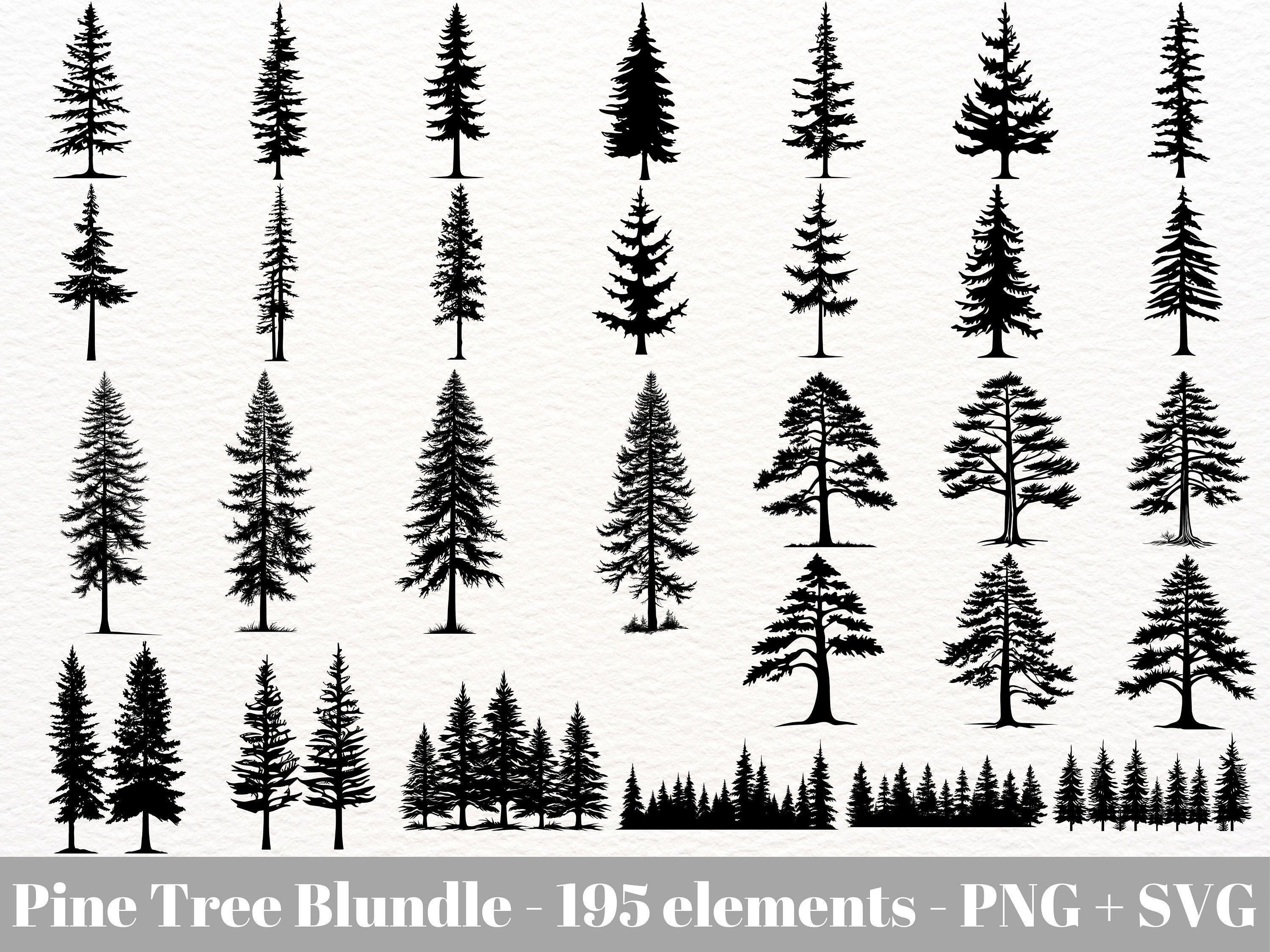 Evergreen trees svg / Pine tree svg file / Fir tree stencil / Forest svg bundle / Instant Download / Mountain Svg Bundle / Commercial use
