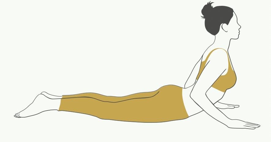 Bhujangasana