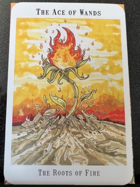 A picture of the Ace of Wands tarot card. It’s a flower growing out of dry land, and the flower is a flame.