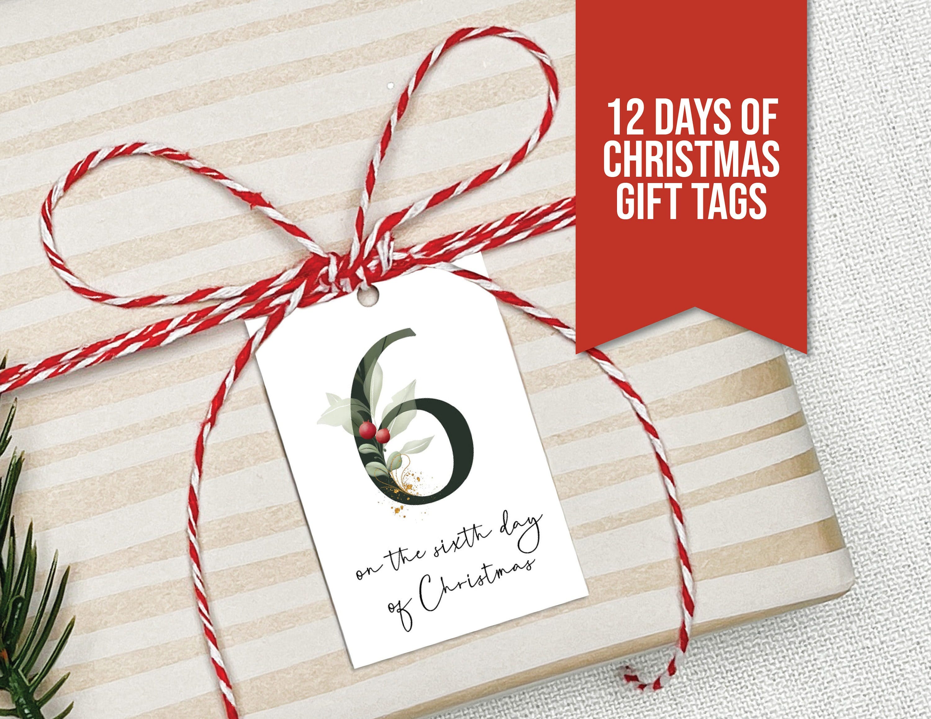 Twelve Days of Christmas Gift Tags, Printable Christmas Tags, Printable Gift Tags, 12 Days of Christmas Gifts