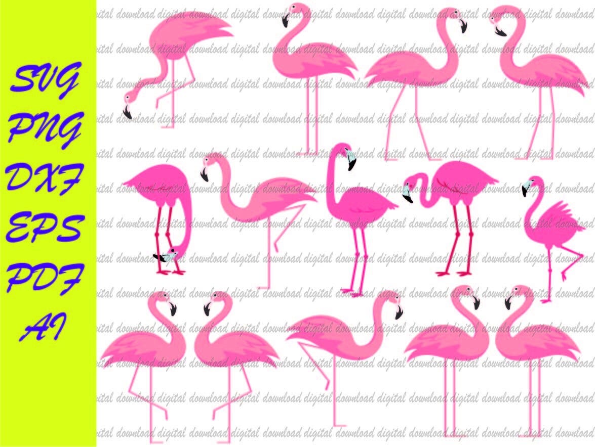 Flamingo Svg, Cute Flamingo Cut Files, Summer Svg, Dxf, Eps, Png, Flamingo Silhouette, Beach Clipart, Girls Shirt Design, Cricut, Silhouette
