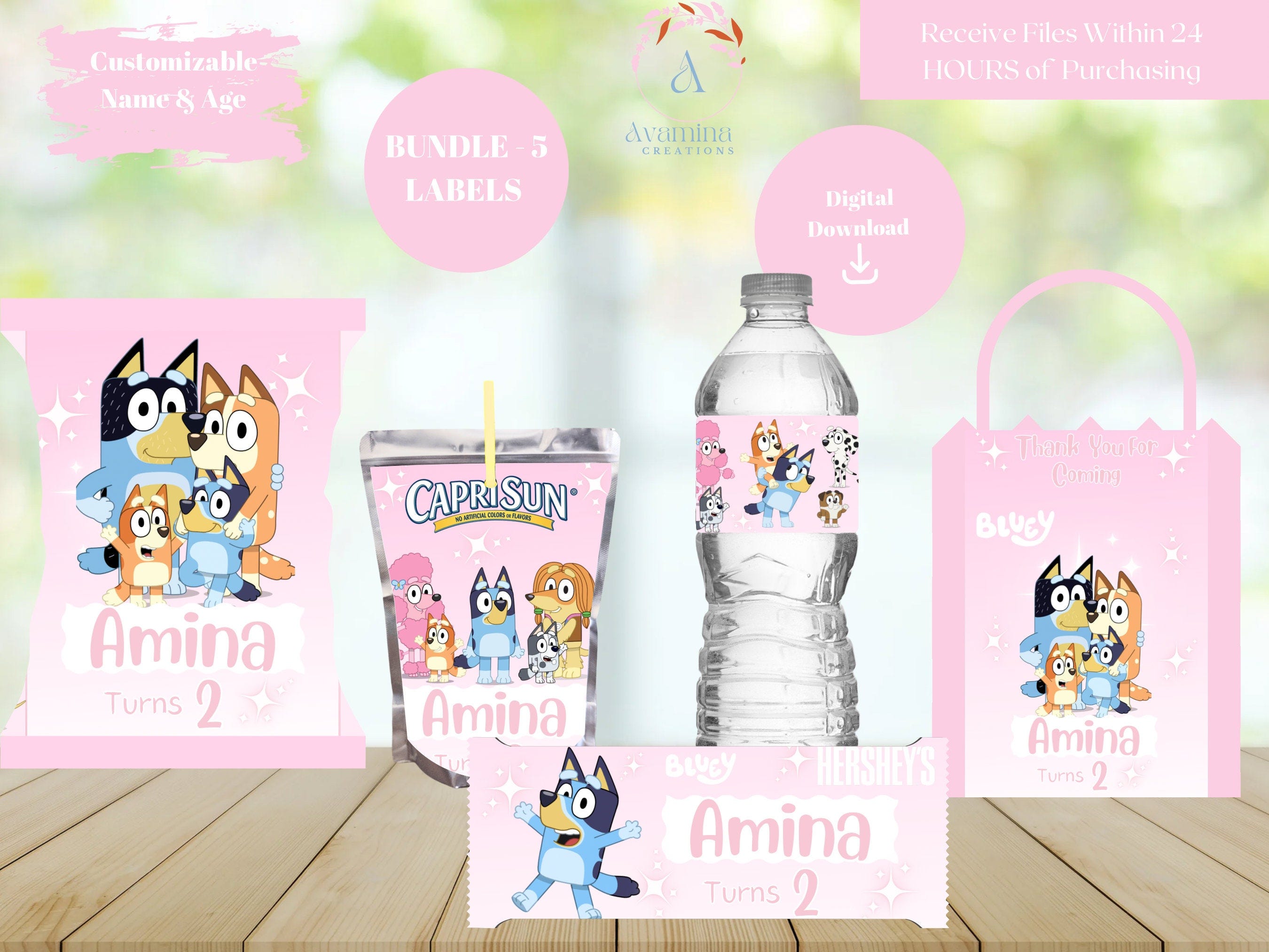 Pink Bluey - Party Favor Labels - 5 Pack- Birthday - Chip bag -  Water - Juice- Candy bar - Favor Bag - Digital Download- Digital Files