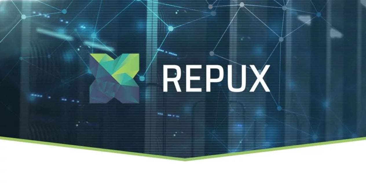 Image result for repux images