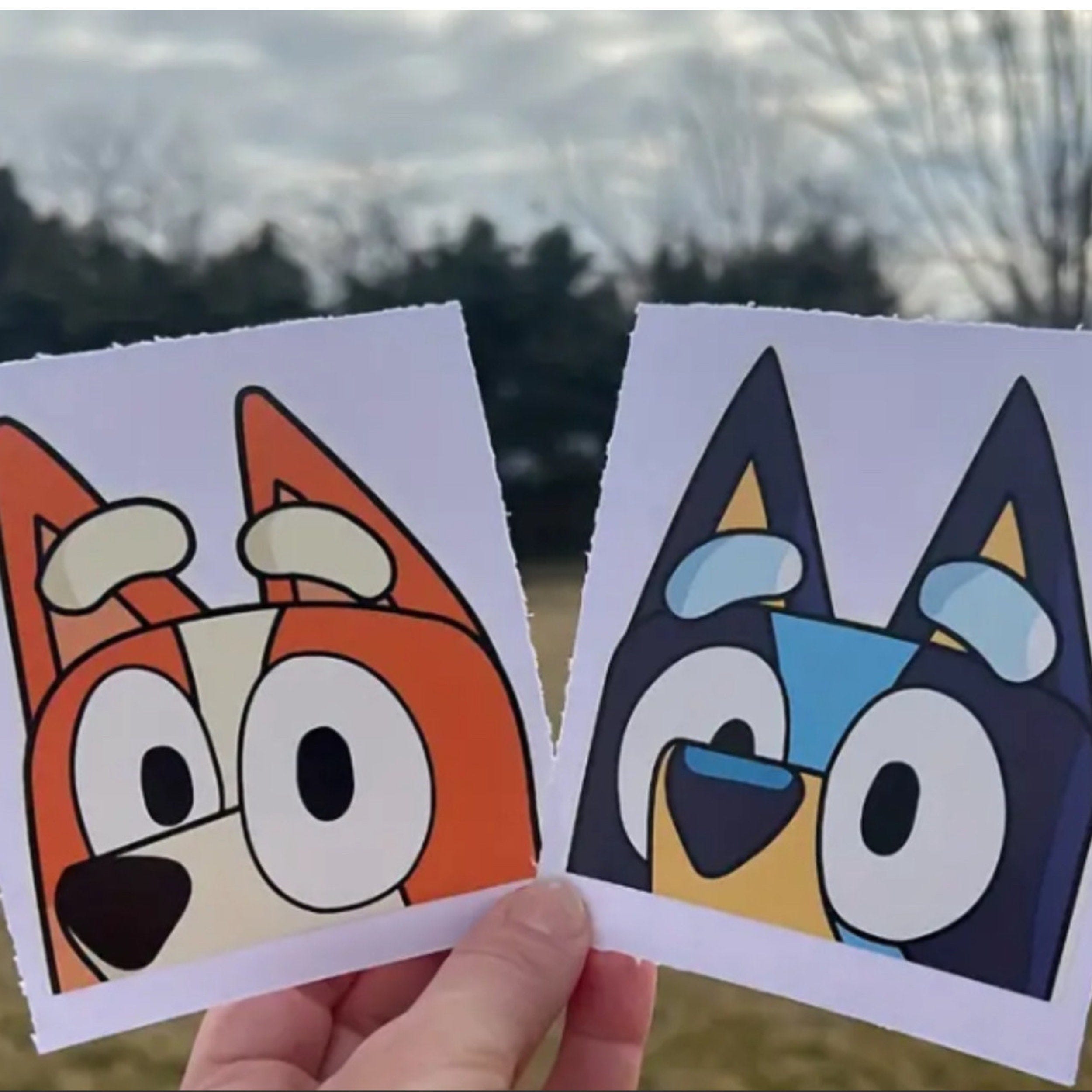 BLUEY and BINGO inspired Car Stickers, Dog Sticker, Car Decal Sticker, Cute Stickers, For Kids and adults Blue Heeler sticker
