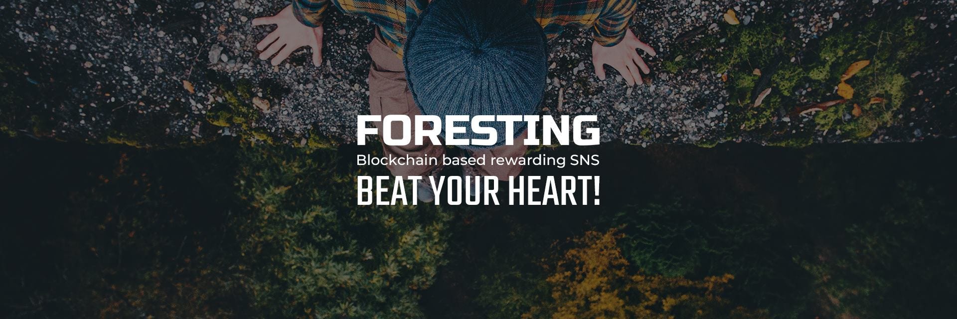 Image result for foresting