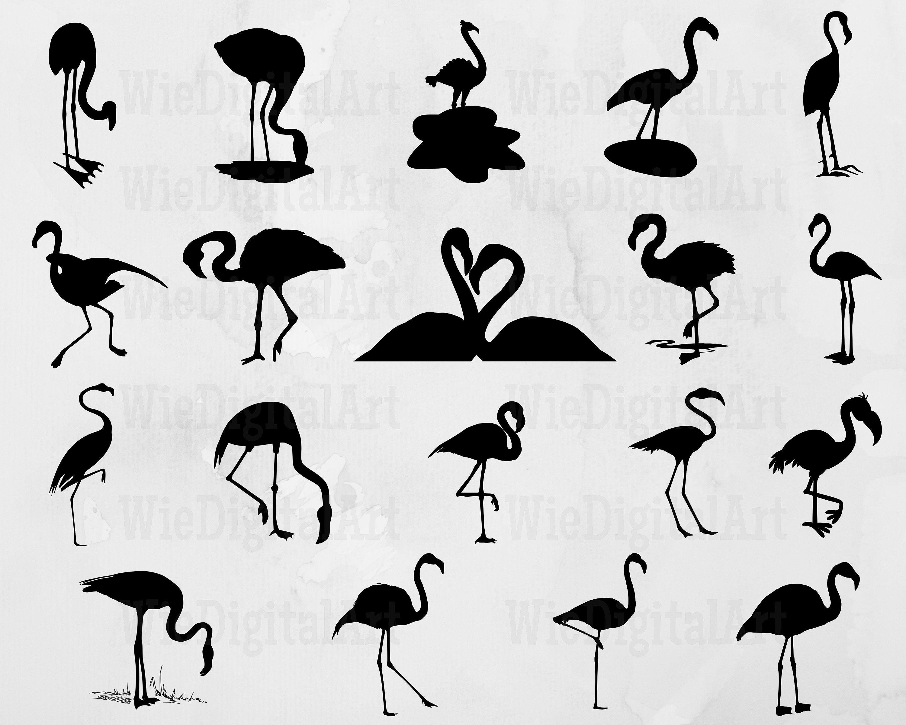 Flamingo svg - Flamingo Silhouette - Flamingo svg bundle - Flamingo svg design - Flamingo Cut File - Flamingo Clipart -Svg - Eps - Dxf - Png