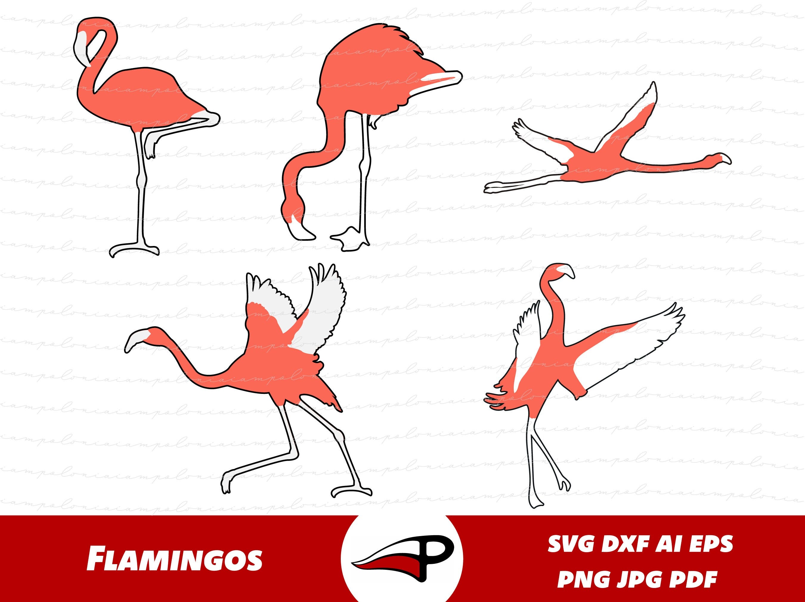 Flamingo Layered SVG Bundle, Real Flamingo Clipart, Flamingo Silhouette, Flying Flamingo Png for Cricut and Glowforge