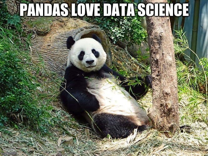 Image result for pandas python memes