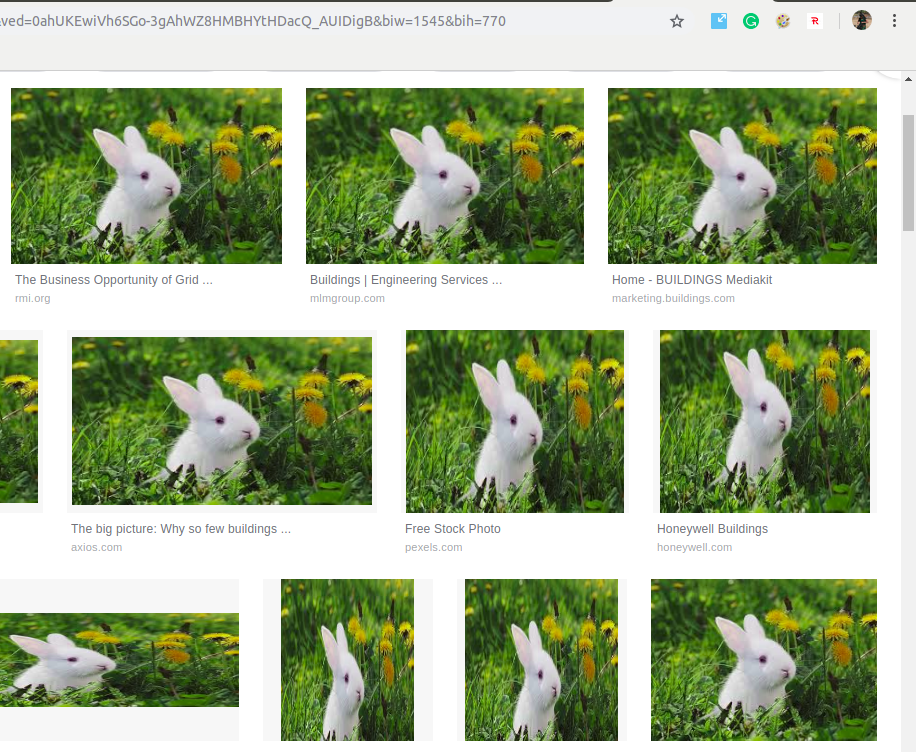 Chrome Extension replace images in a website the output 2