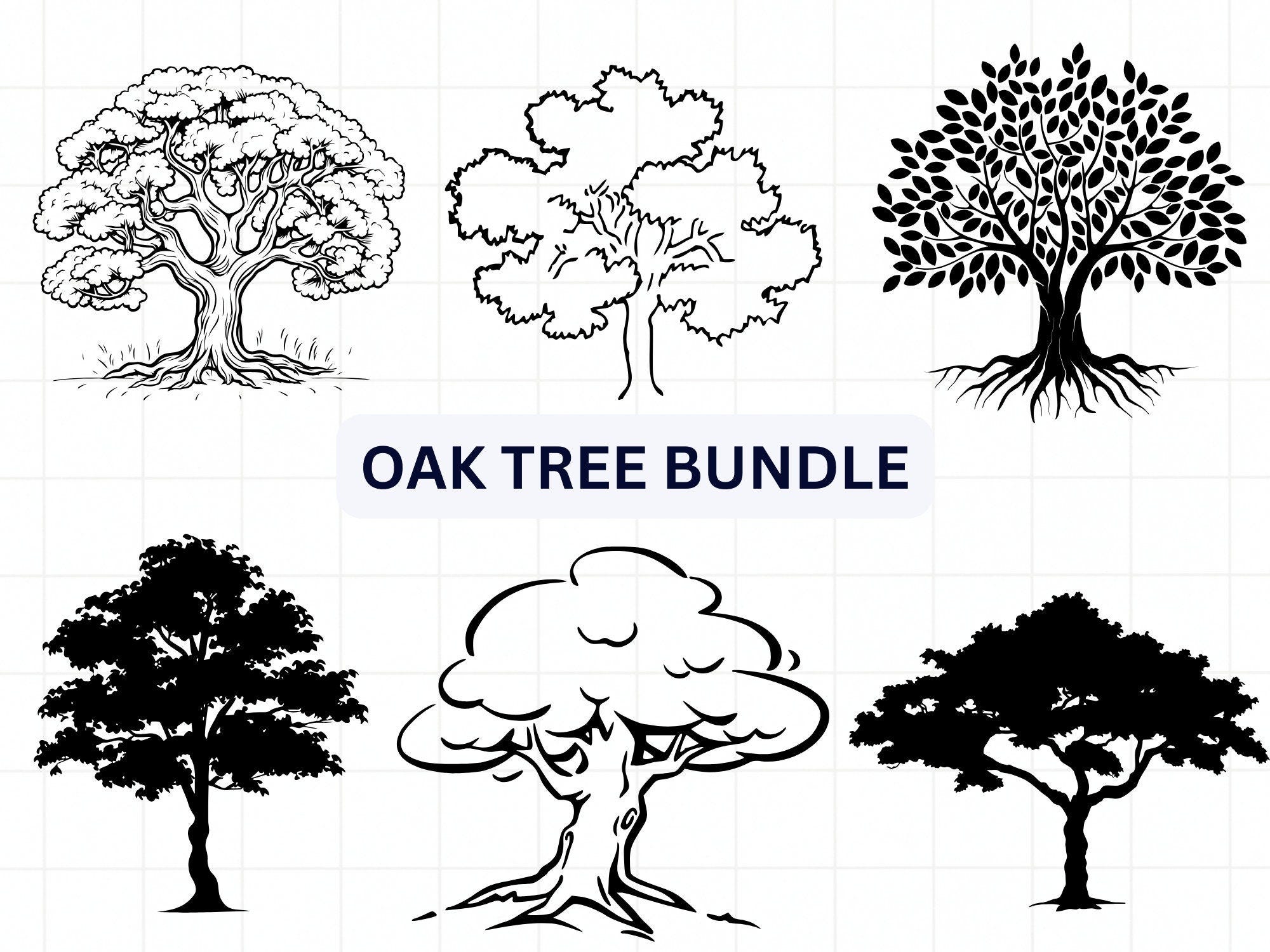 Oak Tree SVG bundle, Oak Tree and Heart PNG, Oak Tree and Swing Clipart, and drawn Oak Tree pictures for print, Big Tree Svg