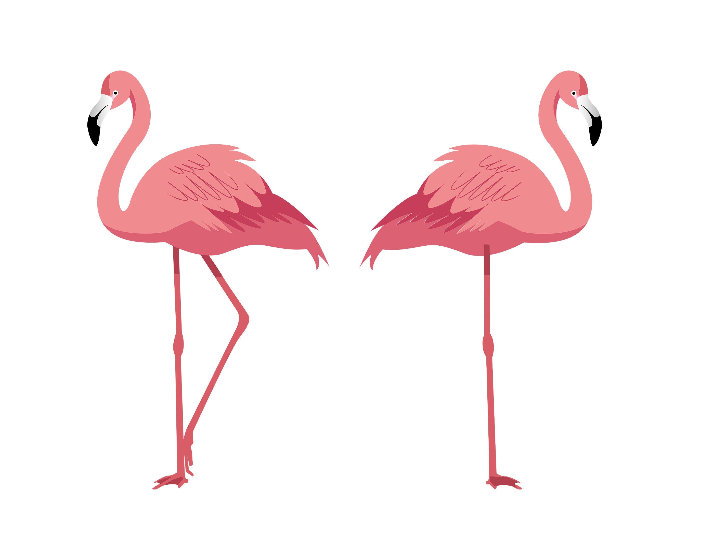 Flamingo SVG, PNG - Flamingo Cut File, Bird Svg, Tropical Bird Svg, Cut Files for Cricut & Silhouette, Printable