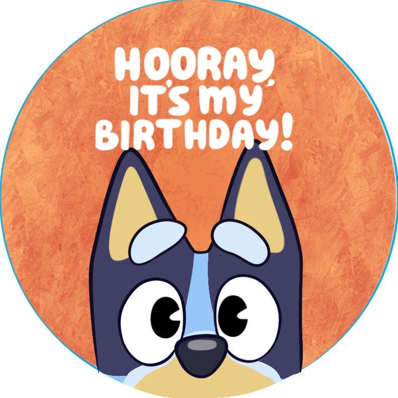 Bluey bingo birthday buttons