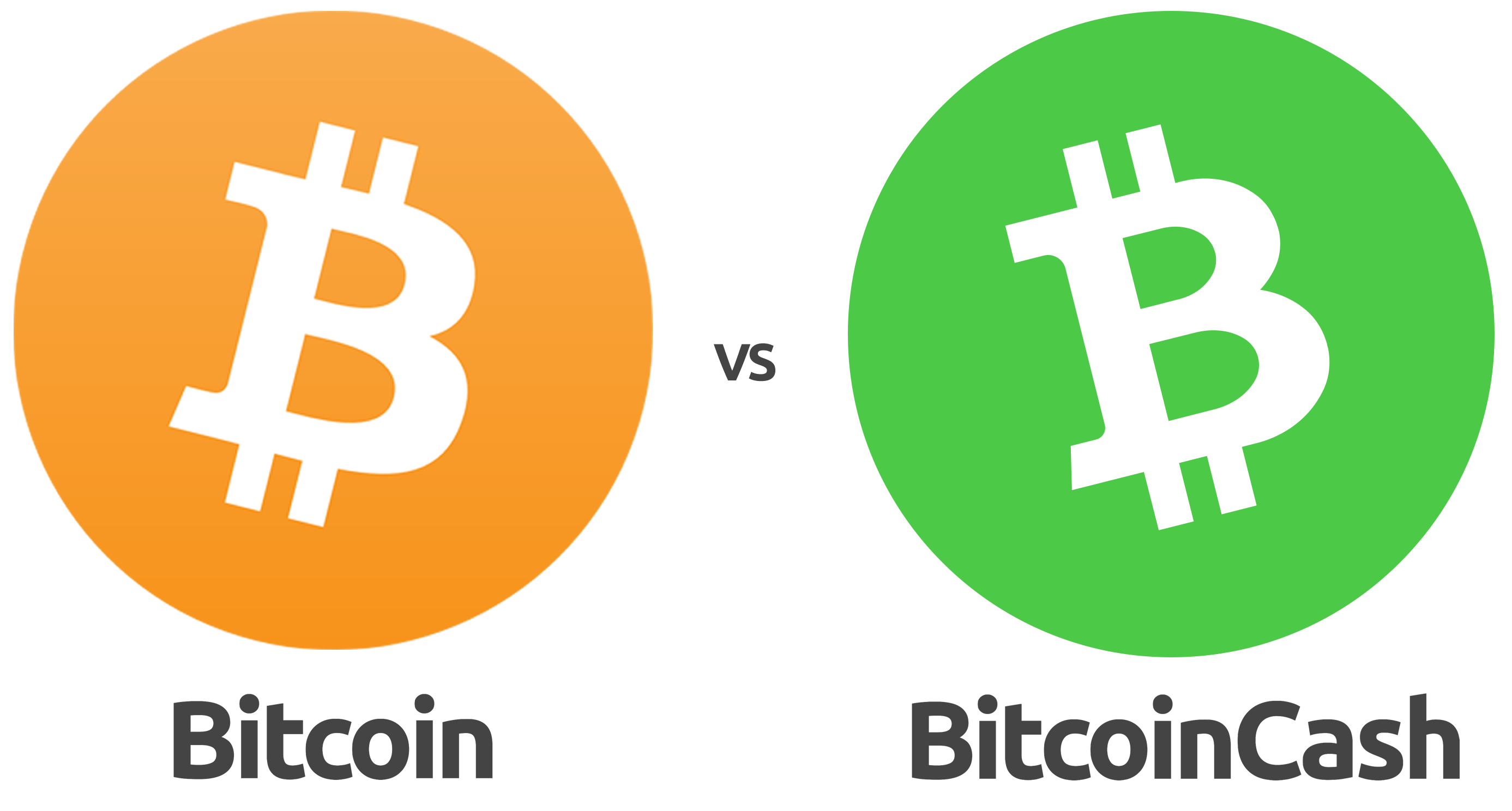 Image result for bitcoin cash