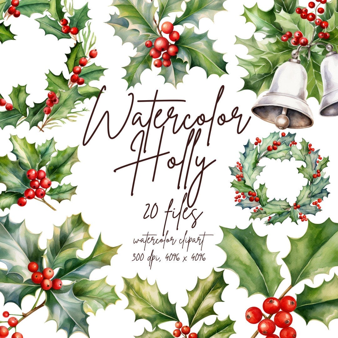 Watercolor Holly Clipart Christmas Bouquets Clipart Holly Berry PNG Winter Botanical Clipart | PNG Commercial Use Instant Download