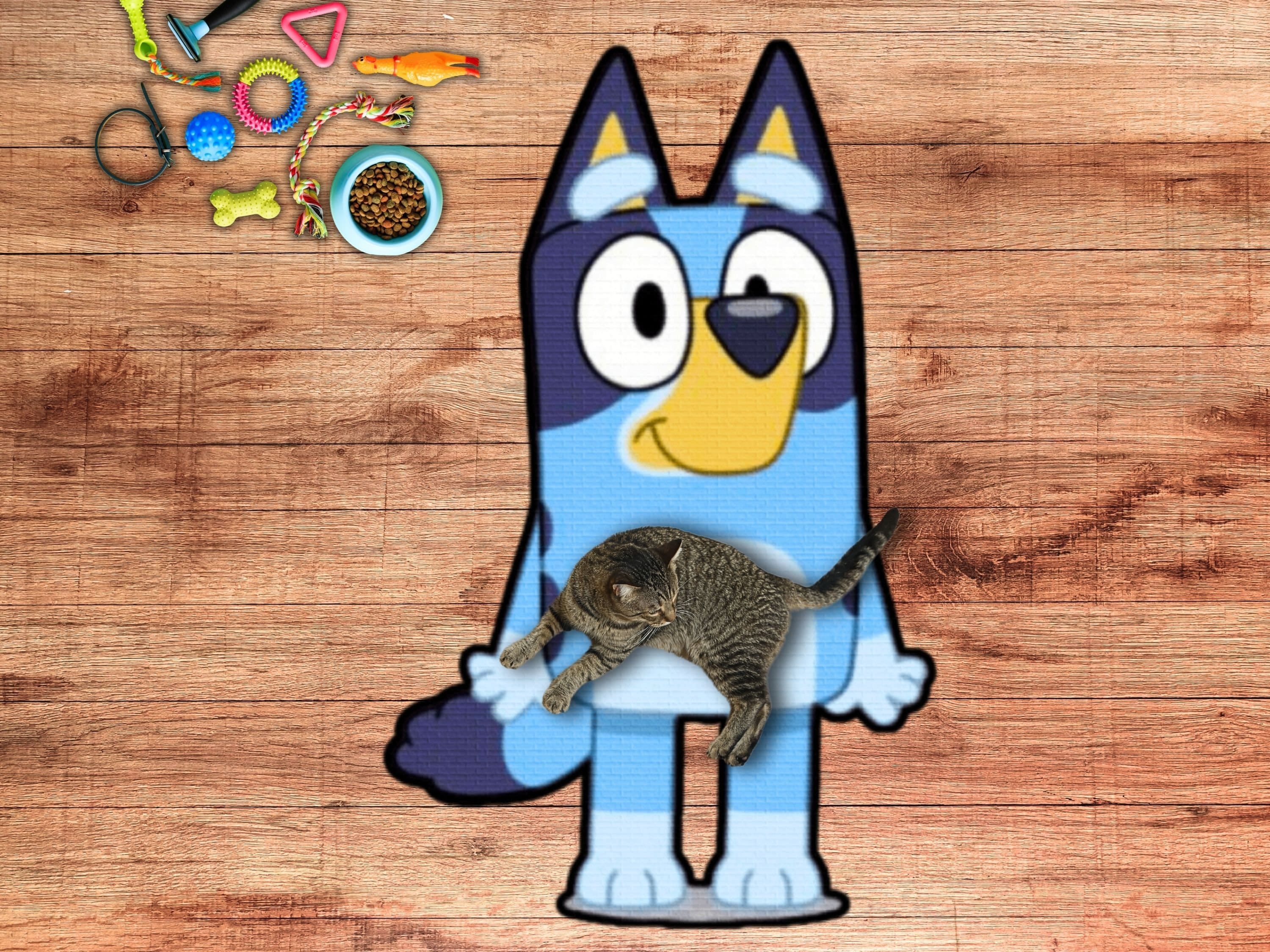 Bluey Rug -SHAPED - Kids Room Rug, Cartoon Bluey Rug, Boys Room Rug, Boy Room Decor, Kids Playroom Decor, Bluey