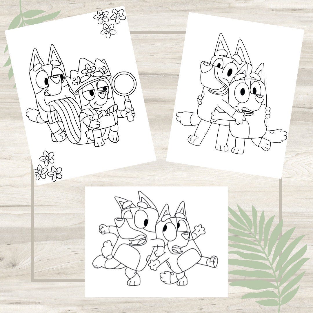 Bluey Bingo Coloring Pages - 3 Pack Digital Download