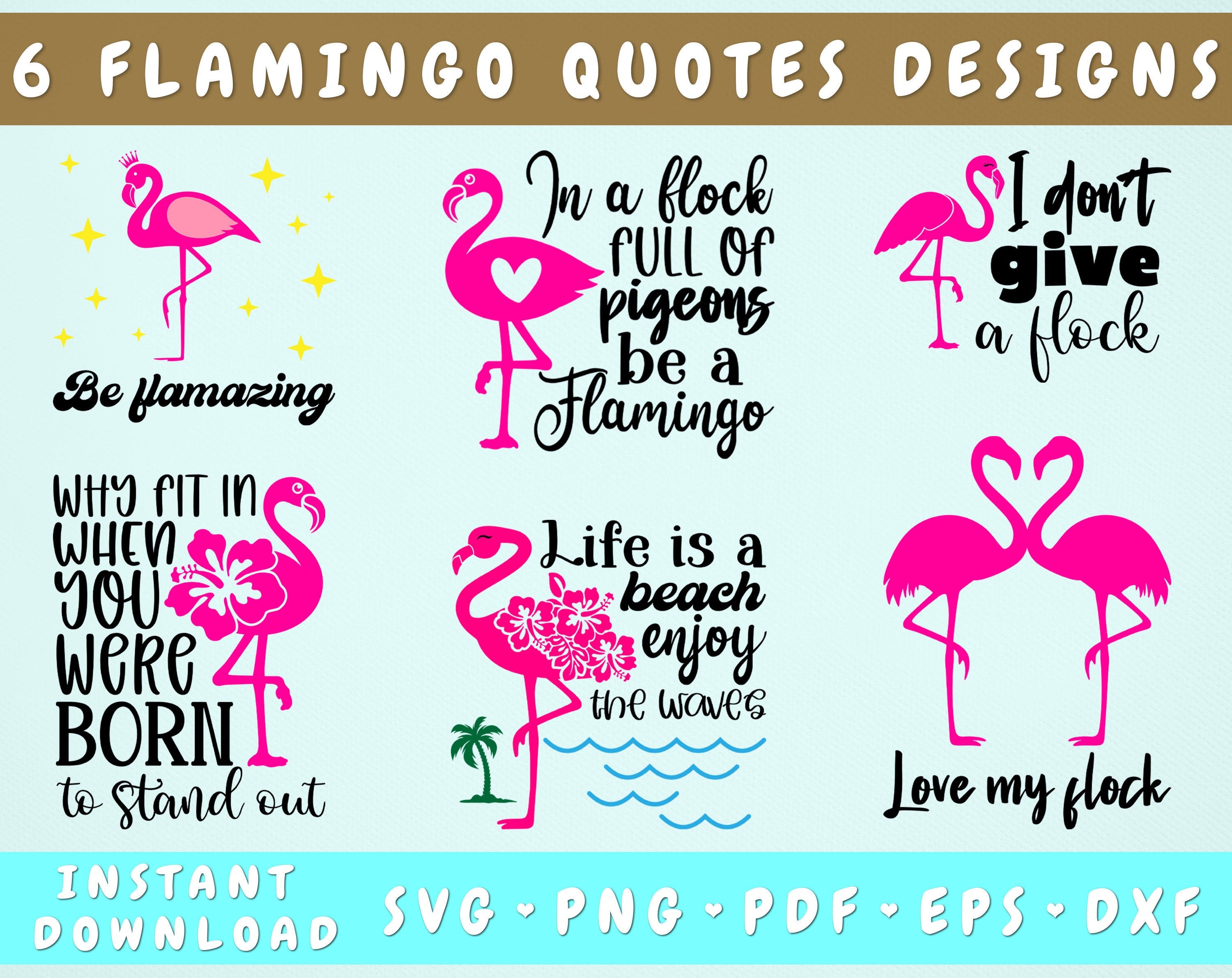 Flamingo Quotes SVG Bundle, 6 Designs, Funny Flamingo SVG, Be Flamazing SVG, In A Flock Full Of Pigeons Be A Flamingo Svg, Love My Flock Svg