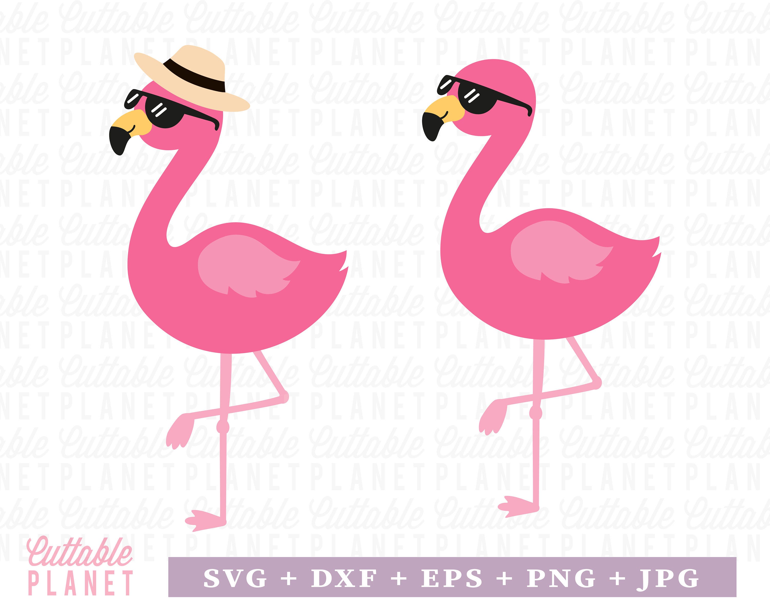 Summer flamingo svg, dxf, eps, png, jpg, flamingo sunglasses svg, flamingo png, flamingo summer svg
