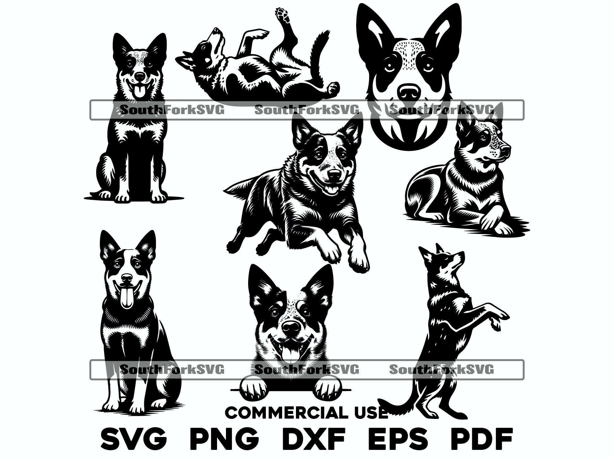 Blue Heeler Bundle Pack svg png dxf eps pdf | vector graphic cut file laser clip art | instant digital download commercial use